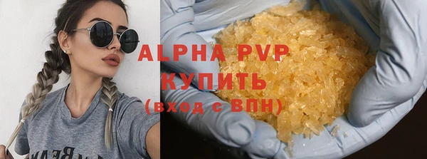прущие грибы Бронницы