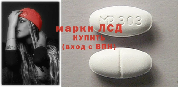 прущие грибы Бронницы
