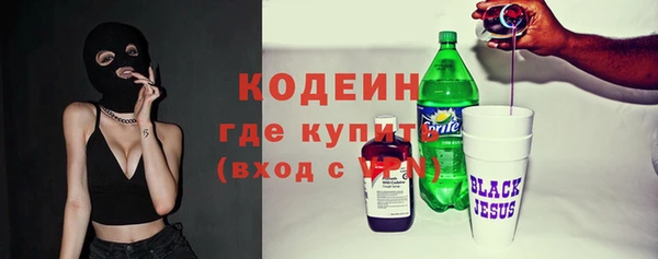 эйфоретик Бородино