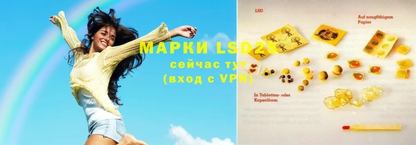 прущие грибы Бронницы