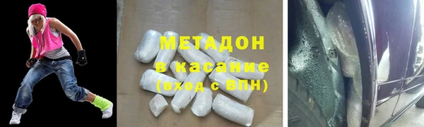 прущие грибы Бронницы