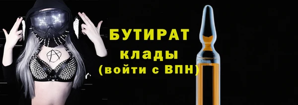 прущие грибы Бронницы