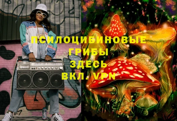 прущие грибы Бронницы