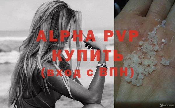 прущие грибы Бронницы