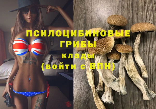 эйфоретик Бородино