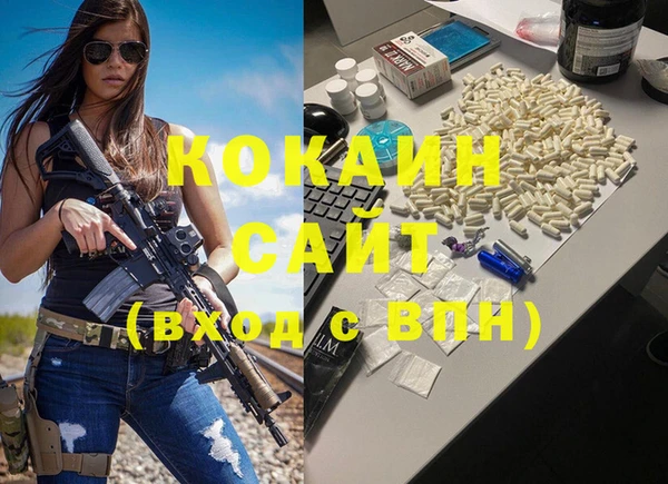 прущие грибы Бронницы