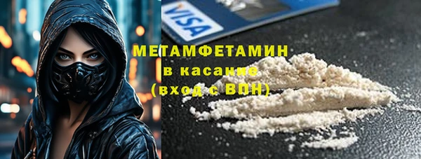 прущие грибы Бронницы