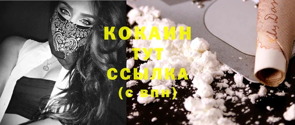 стаф Сафоново