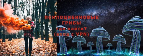 бошки Бугульма