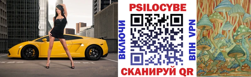Псилоцибиновые грибы мицелий  hydra зеркало  Новодвинск 